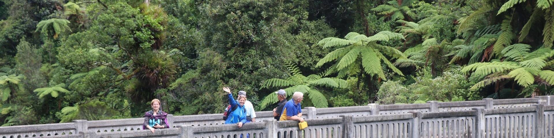Kia Ora tour March/April 2017 in New Zealand. Hike to the "Bridge to Nowhere"