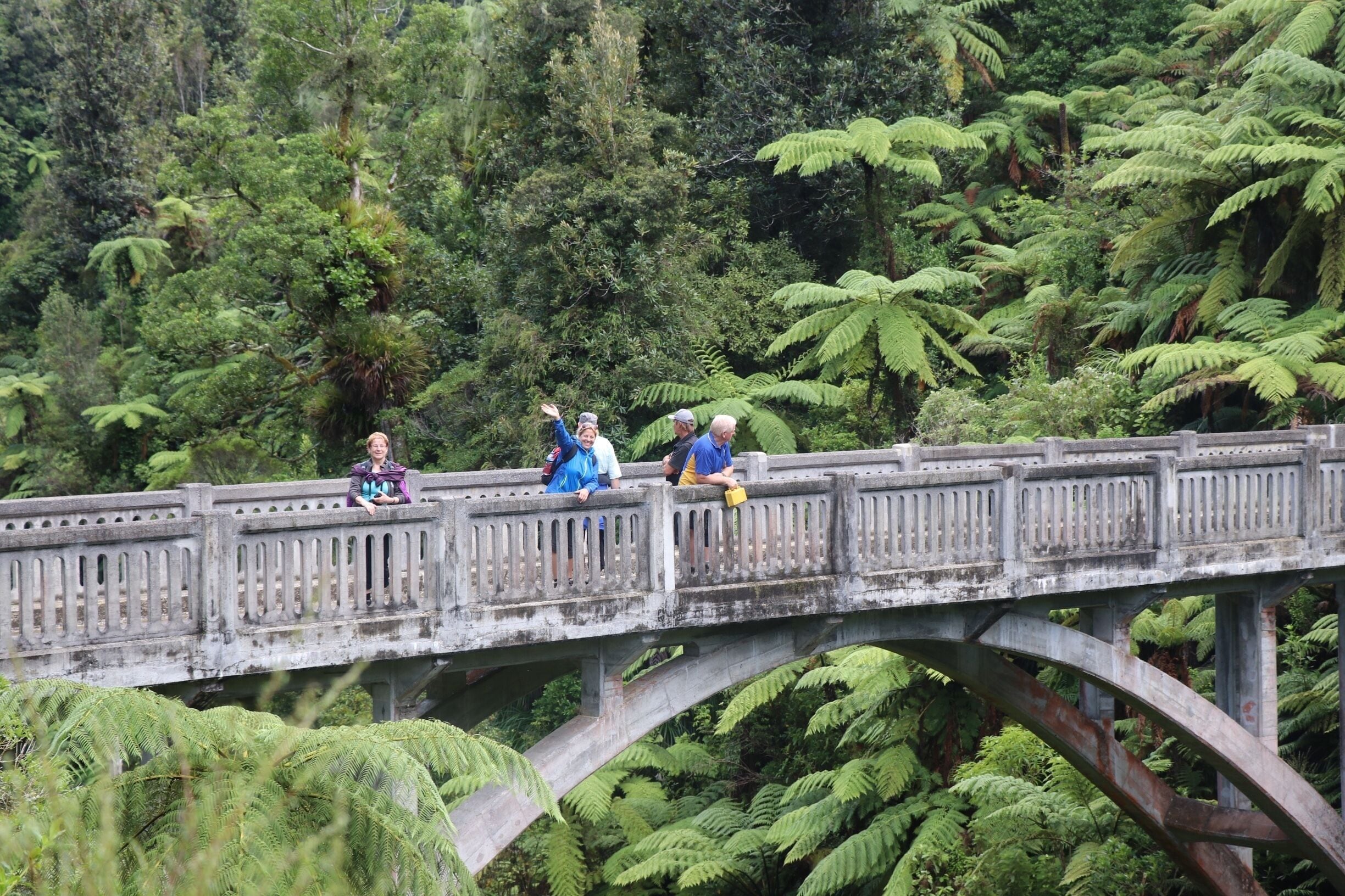 A stone bridge with people sitting on it, surrounded by lush green ferns and trees.