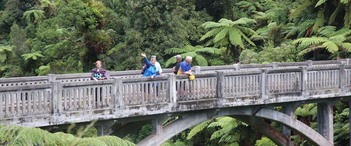 A stone bridge with people sitting on it, surrounded by lush green ferns and trees.