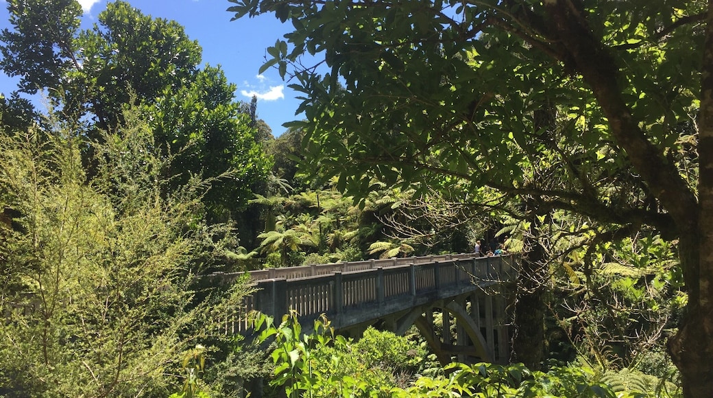 The Bridge-to-Nowhere is one of 3 sister bridges (the others are the Bridge-to-Somewhere and the Bridge-to-Elsewhere). We went to see it with the Bridge to nowhere tour guides. Absolutely brilliant! We chose to stay overnight in the lodge and could have stayed there forever