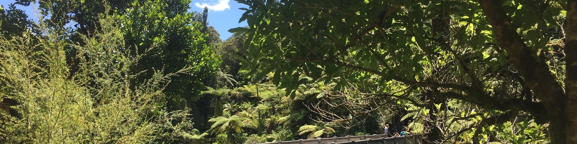 The Bridge-to-Nowhere is one of 3 sister bridges (the others are the Bridge-to-Somewhere and the Bridge-to-Elsewhere). We went to see it with the Bridge to nowhere tour guides. Absolutely brilliant! We chose to stay overnight in the lodge and could have stayed there forever