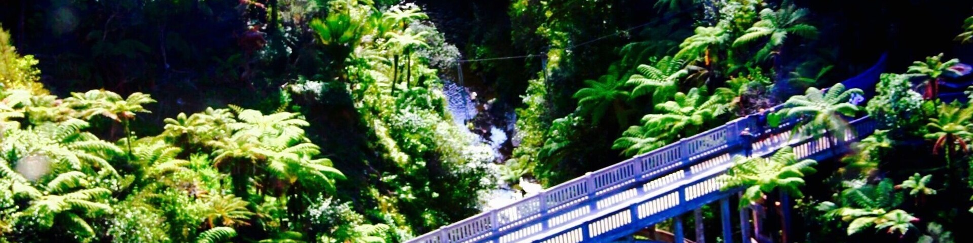 Un puente azul sobre una cascada, rodeado de exuberante vegetación.