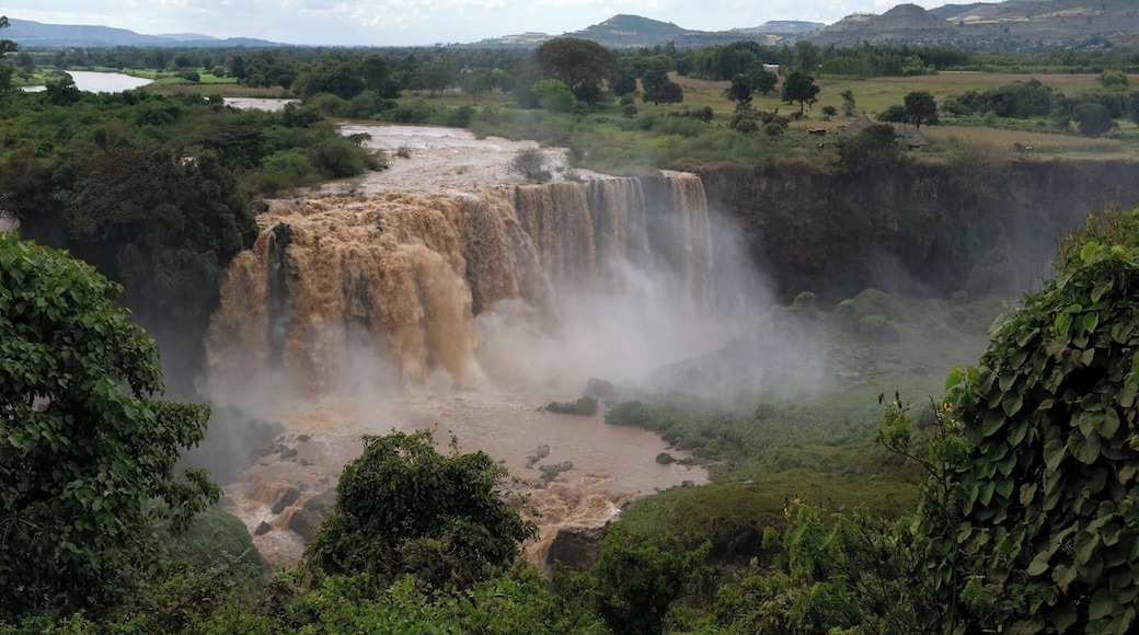 This amazing waterfall is near Lake Tana. Don't miss it