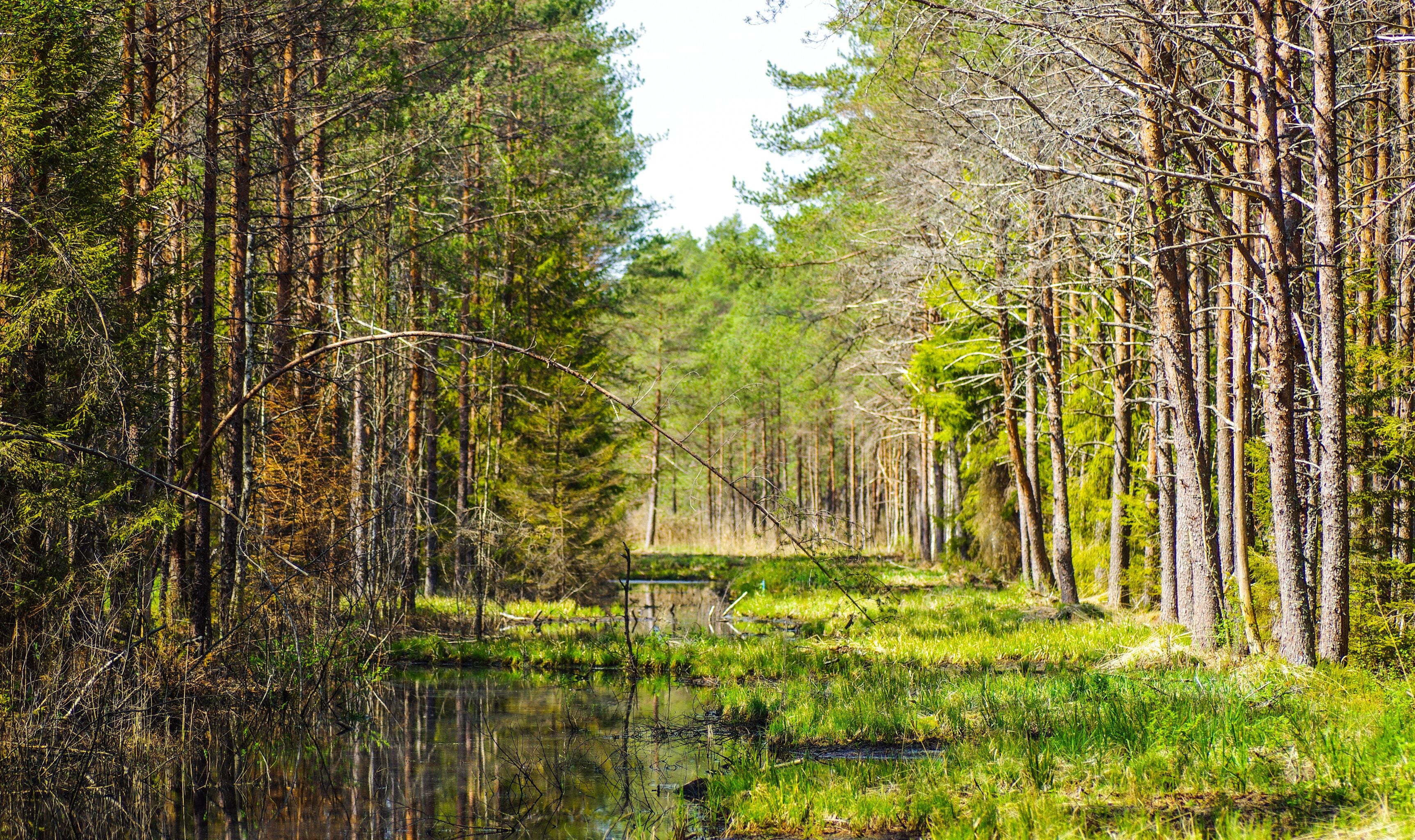 Parque Nacional de Soomaa