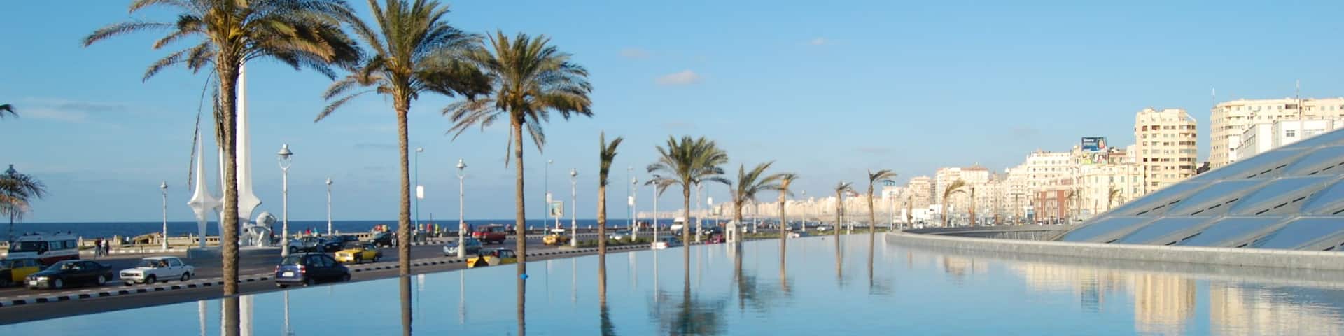 A reflective infinity pool with palm trees and modern buildings in the background.