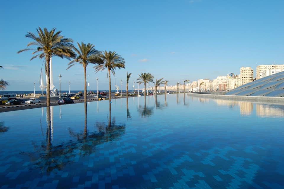 A reflective infinity pool with palm trees and modern buildings in the background.