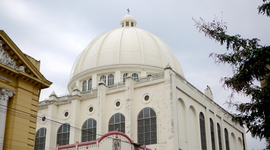 Catedral Metropolitana que incluye una iglesia o catedral