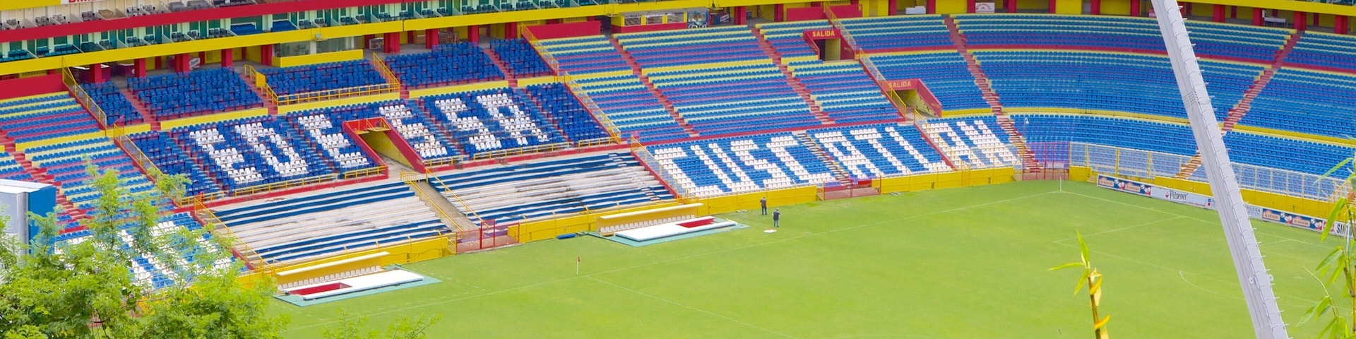 ์์คํ๋์ค ์ฟ ์ค์นดํ๋