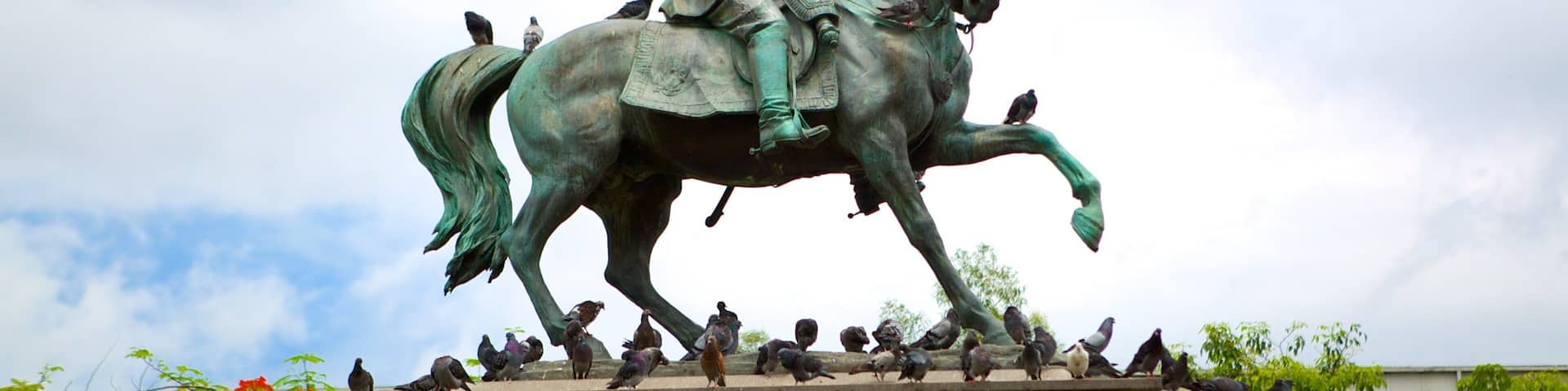 A bronze equestrian statue with multiple birds perched on it.
