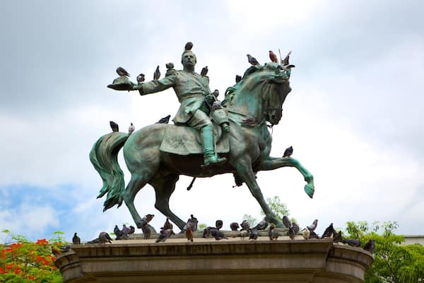 Eine bronzene Reiterstatue, auf der sich mehrere Vögel niedergesetzt haben.
