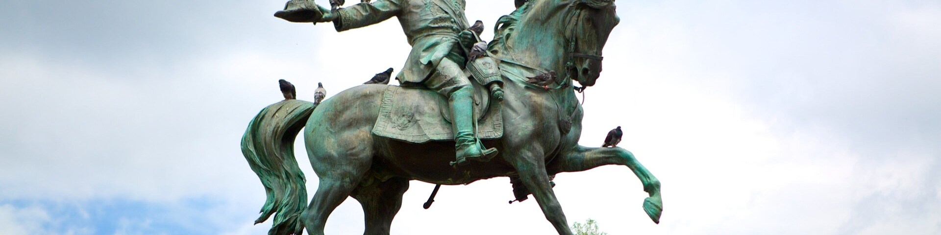 Estátua equestre em bronze com várias aves empoleiradas.