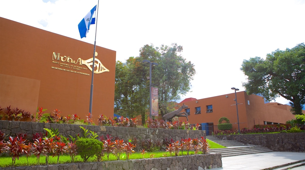 David Guzman Anthropology Museum which includes street scenes