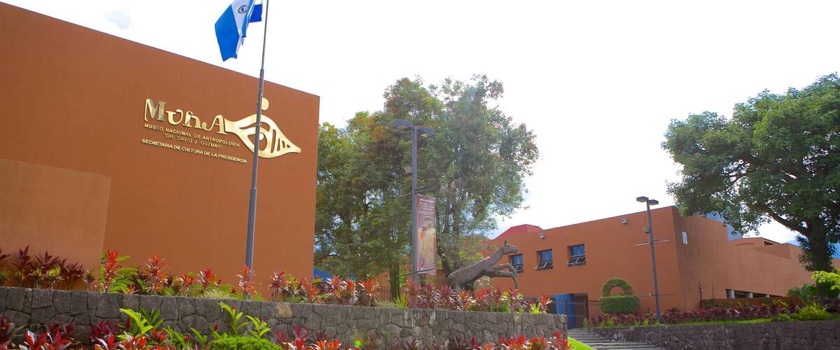 David Guzman antropologiske museum som viser gatescener