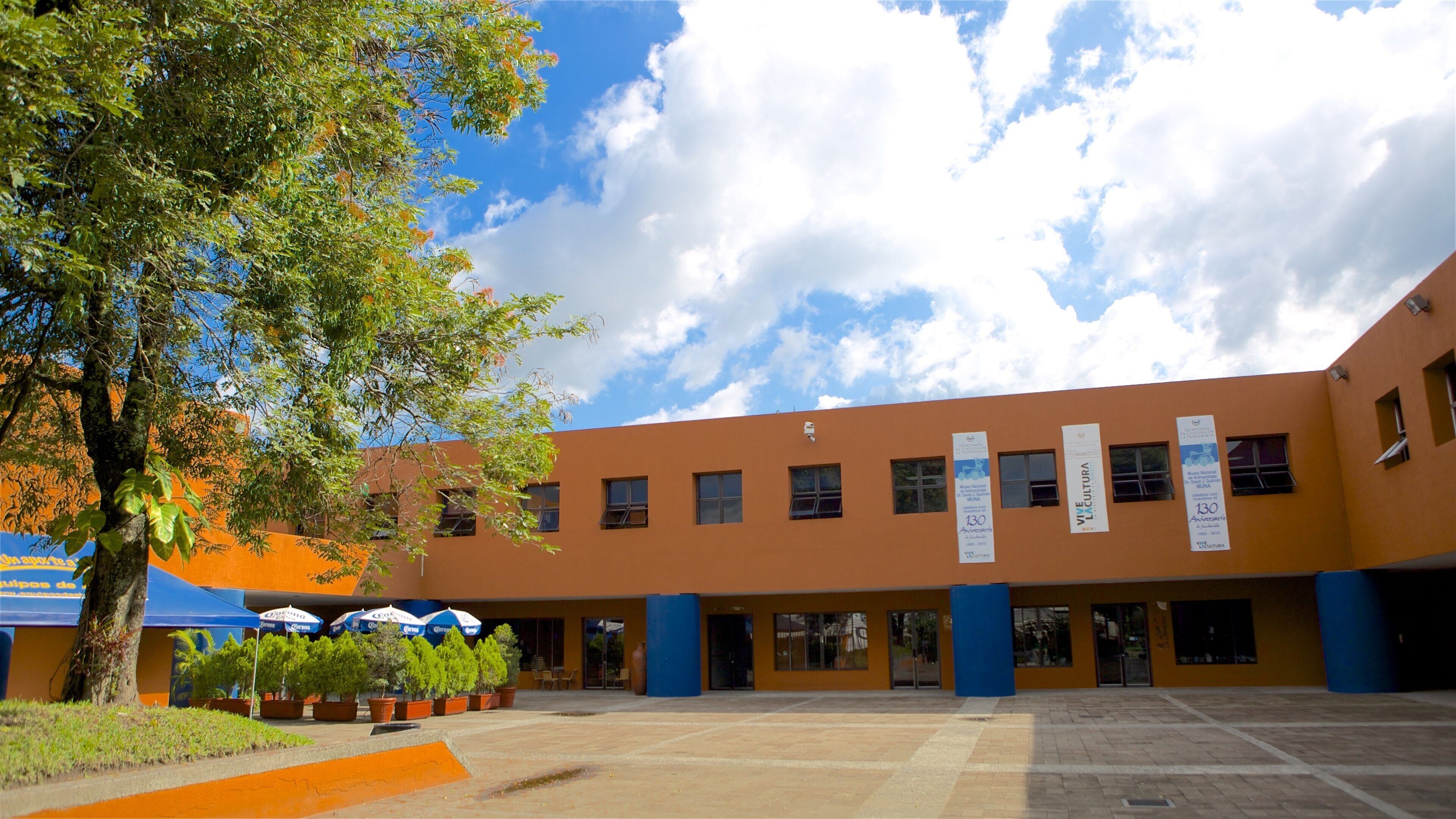Natural History Museum showing cbd