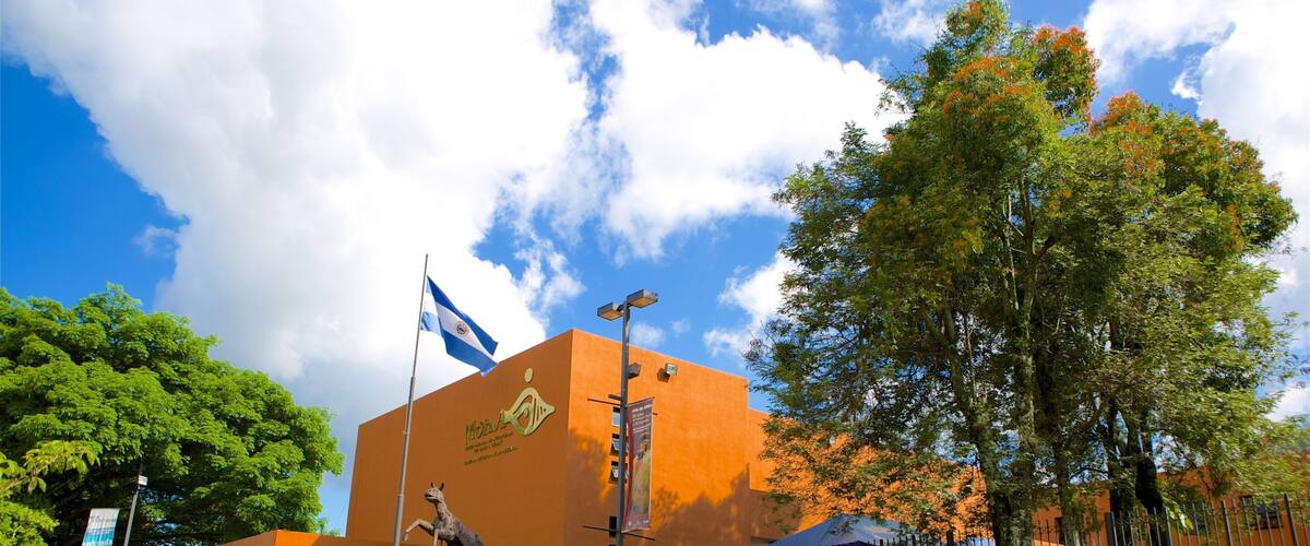 David Guzman Anthropology Museum