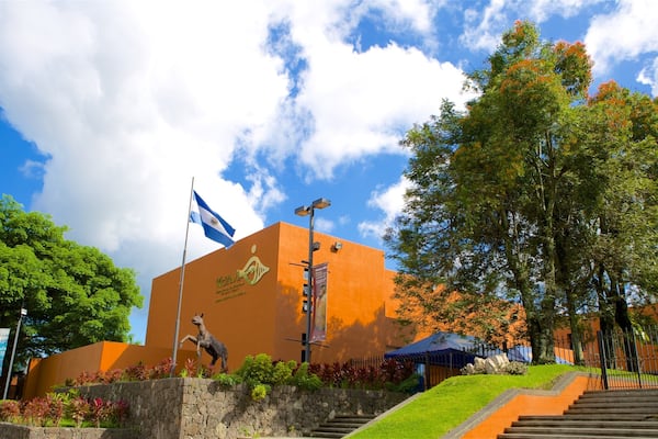 David Guzman Anthropology Museum