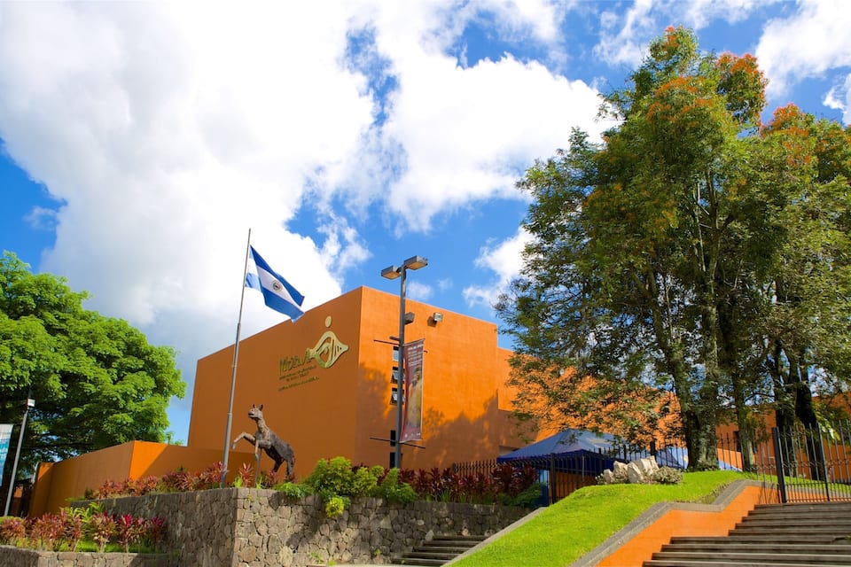 A building with a flag, a statue, and a tree.