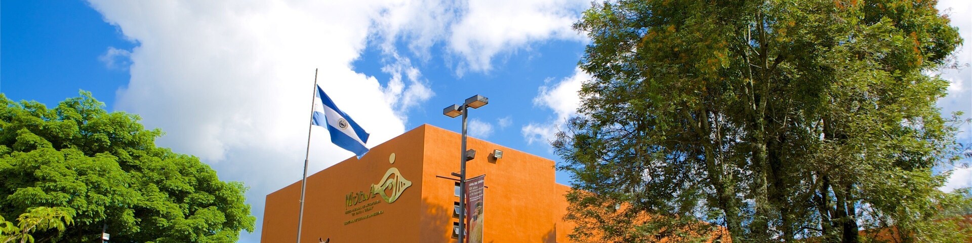 David Guzman 人類學博物館