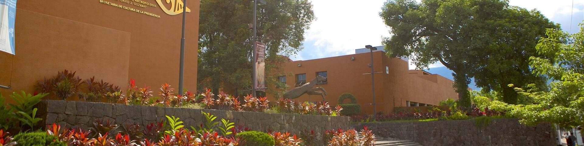 David Guzman Anthropology Museum showing a garden and signage