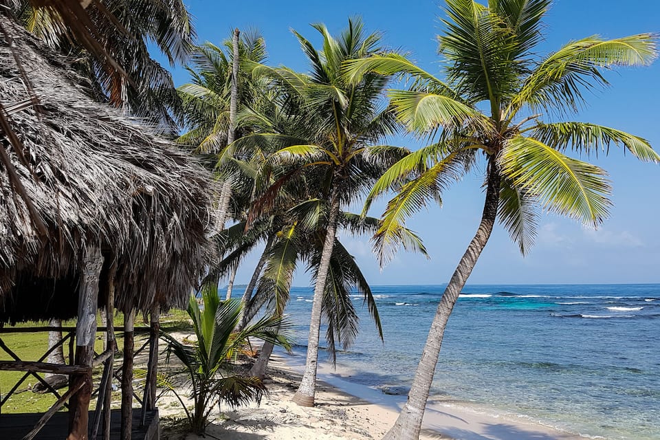 A beach with palm trees and a thatched hut.
