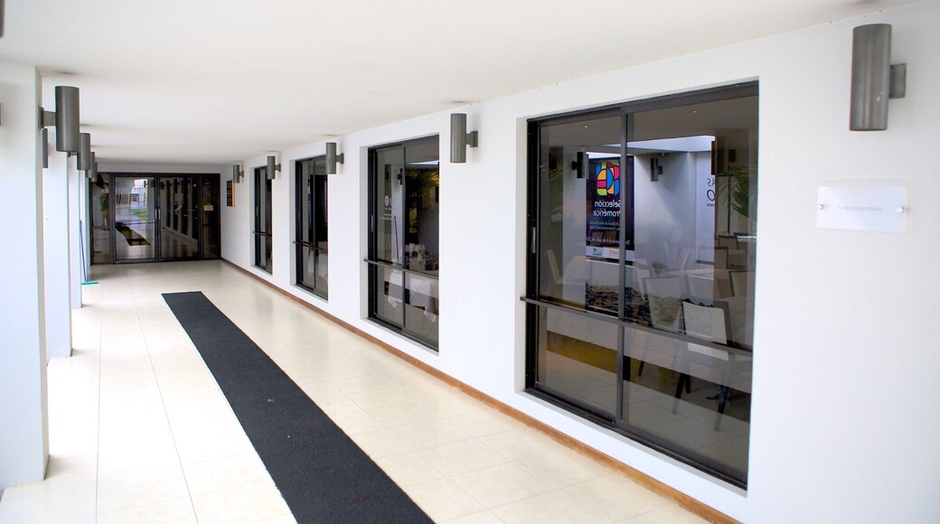 Museo de Arte de El Salvador which includes interior views