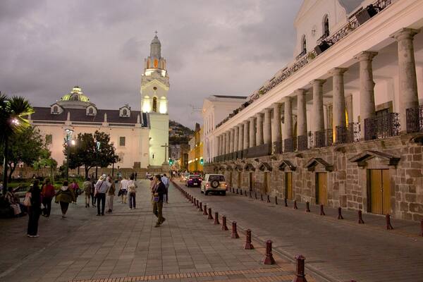 Kathedrale von Quito welches beinhaltet StraĂenszenen und bei Nacht sowie groĂe Menschengruppe