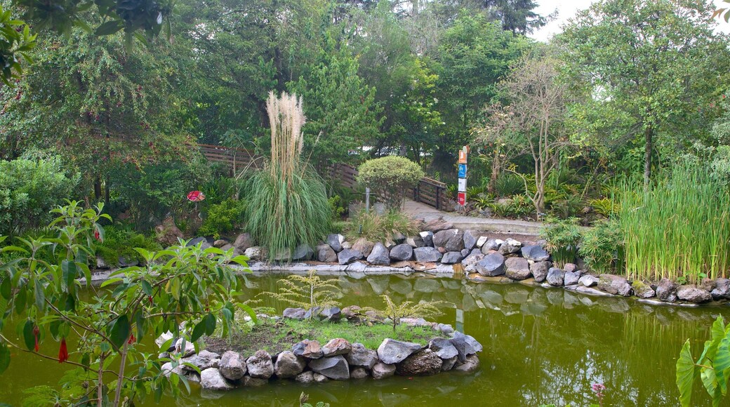 La Carolina som visar en damm och en park