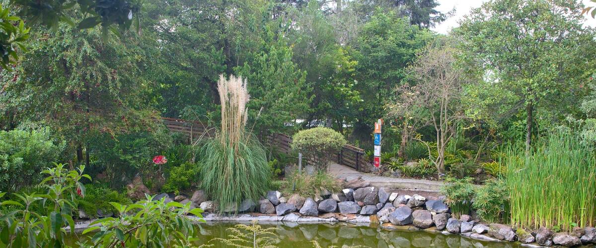 La Carolina bevat een tuin en een vijver