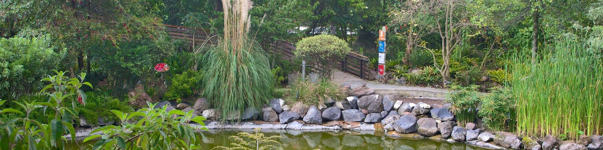 La Carolina showing a park and a pond