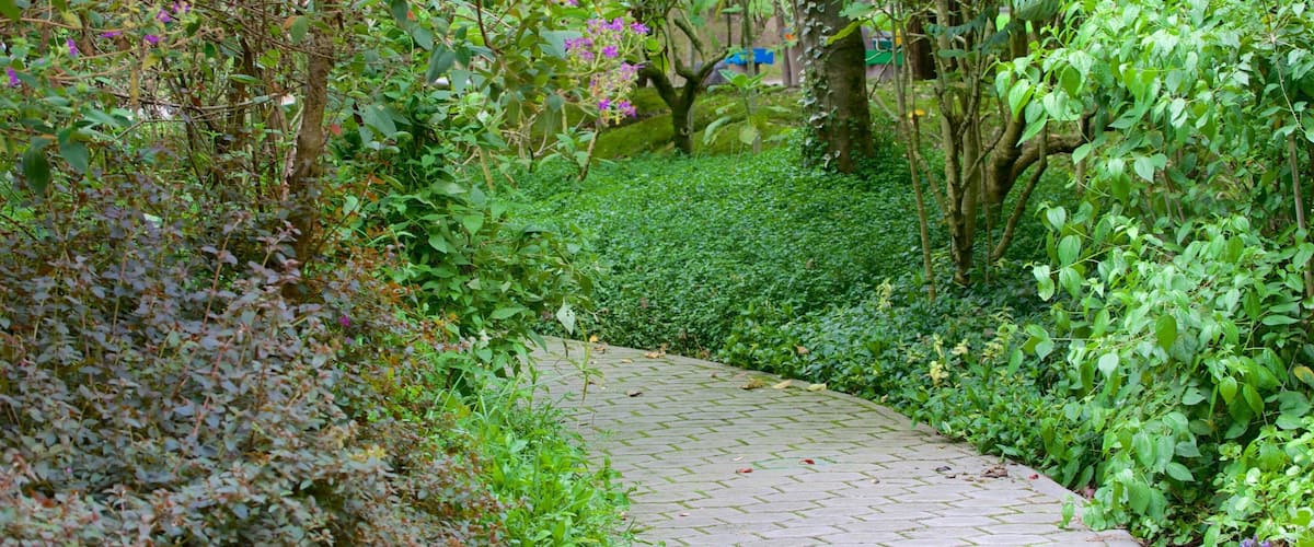 La Carolina featuring puisto