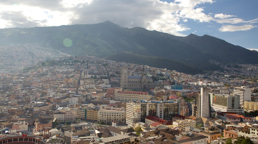 Itchimbia Park showing a city