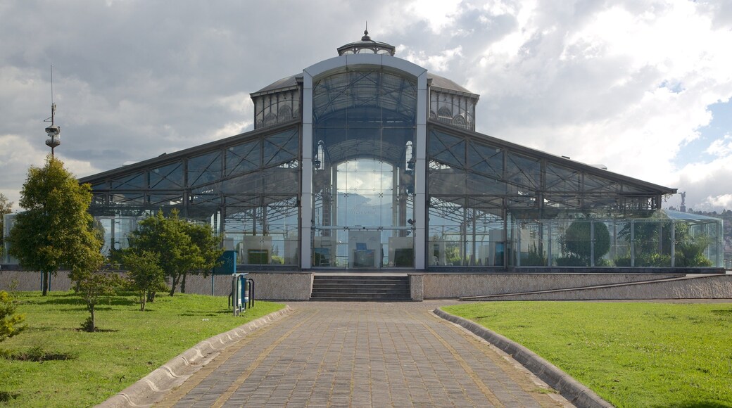 Itchimbia Park featuring modern architecture and a park