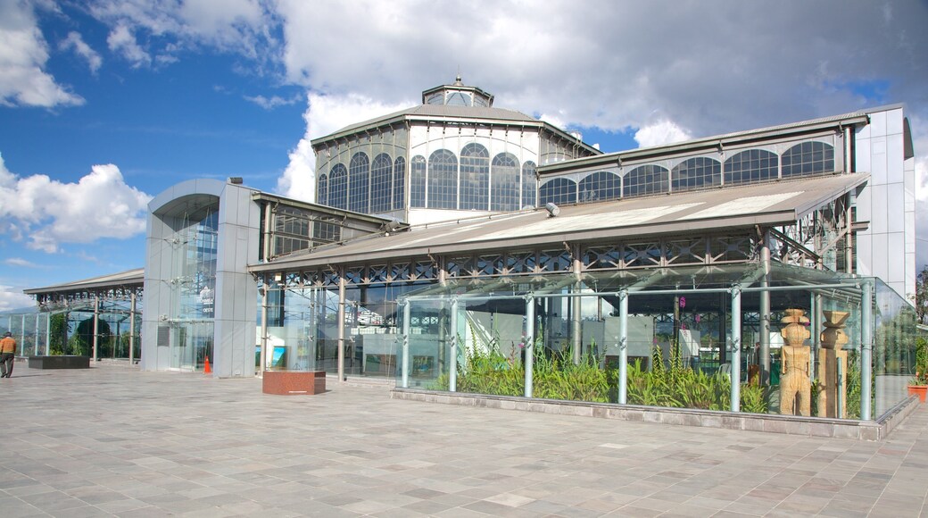 Itchimbia Park featuring modern architecture, a square or plaza and street scenes