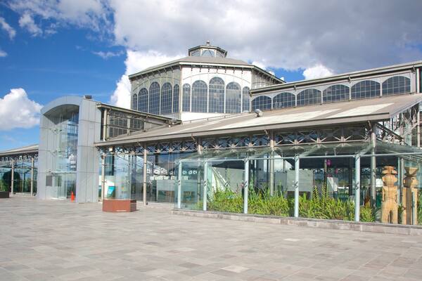 Itchimbia Park which includes modern architecture, street scenes and a square or plaza