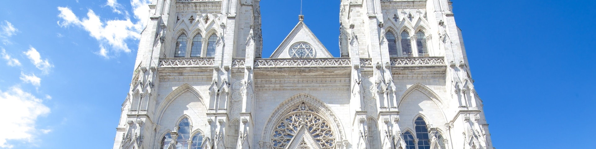 Basilica of the National Vow showing religious elements, heritage architecture and a church or cathedral