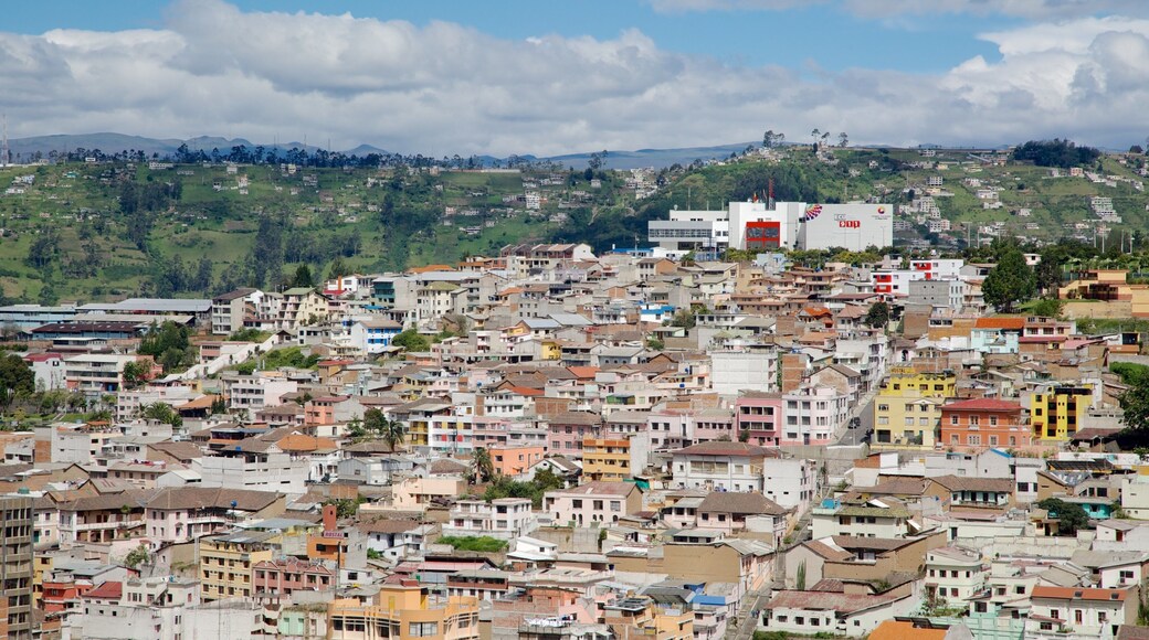 Basilica of the National Vow showing a city