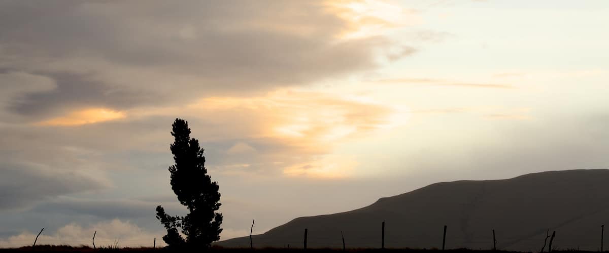 Cotopaxi National Park