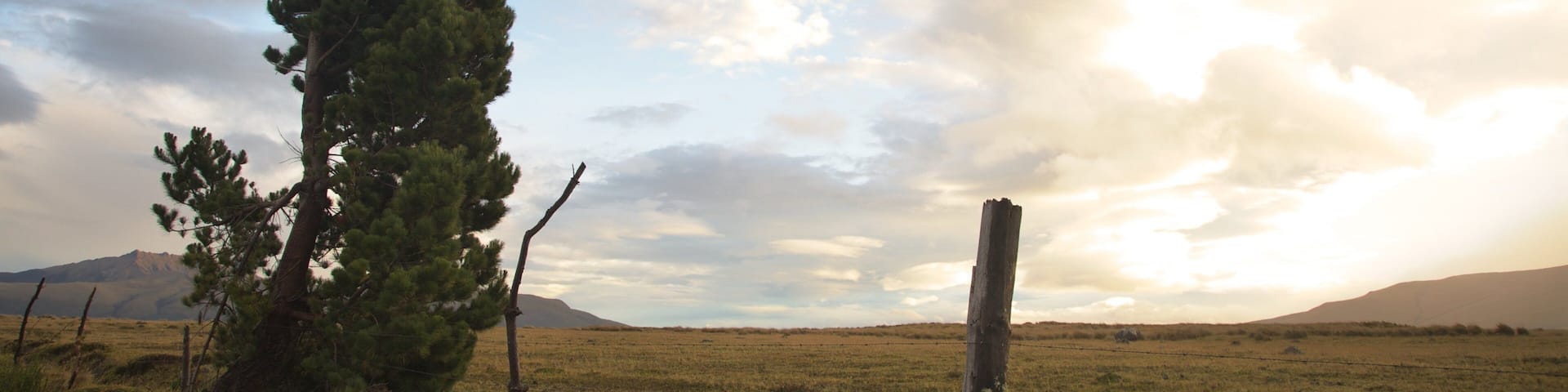 Parque Nacional Cotopaxi que inclui cenas tranquilas