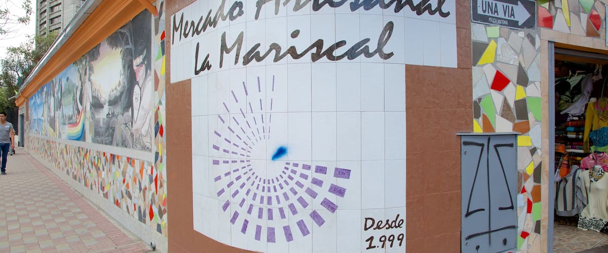 La Mariscal qui includes scènes de rue et art en plein air