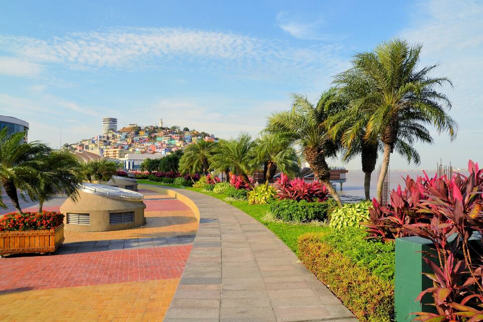 Un sendero curvo bordeado de palmeras y flores coloridas, que lleva a una colina con edificios de colores.