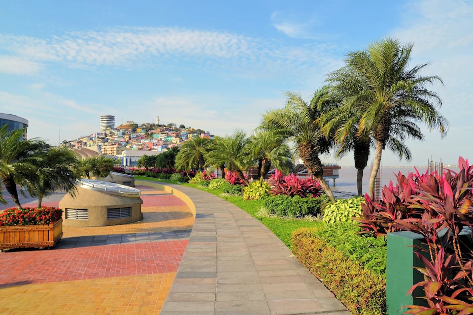 A curved pathway lined with palm trees and colorful flowers, leading to a hill with colorful buildings.