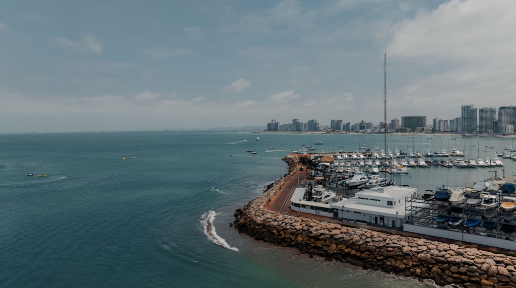 A coastal marina with boats, a rocky breakwater, and a city skyline in the background.
