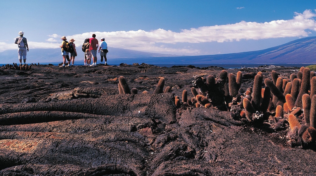 Parc national des Galápagos