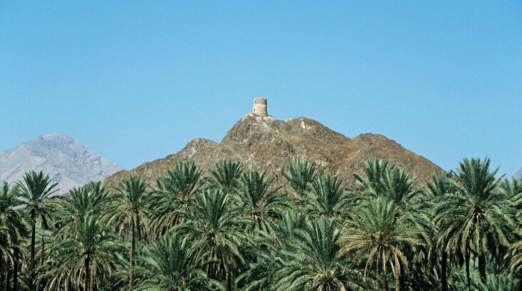 Fort Nizwa