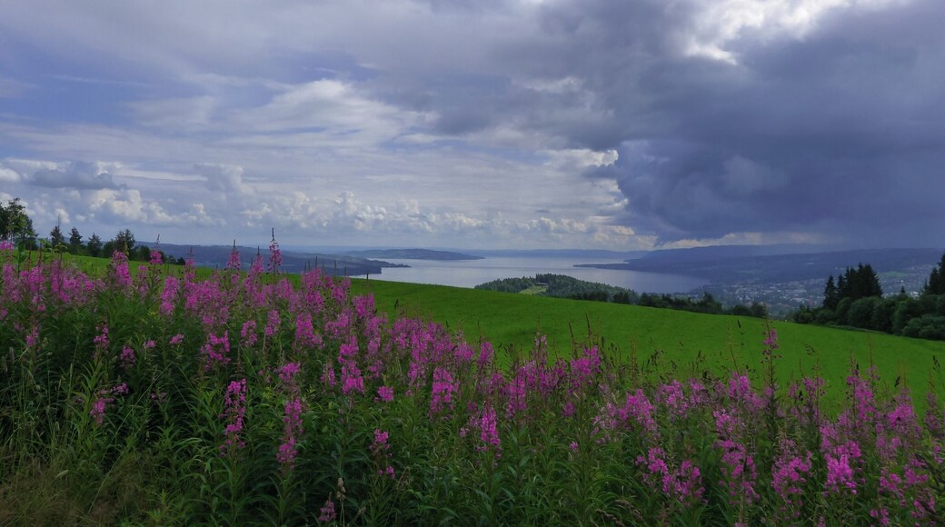 500px Photo ID: 75716973