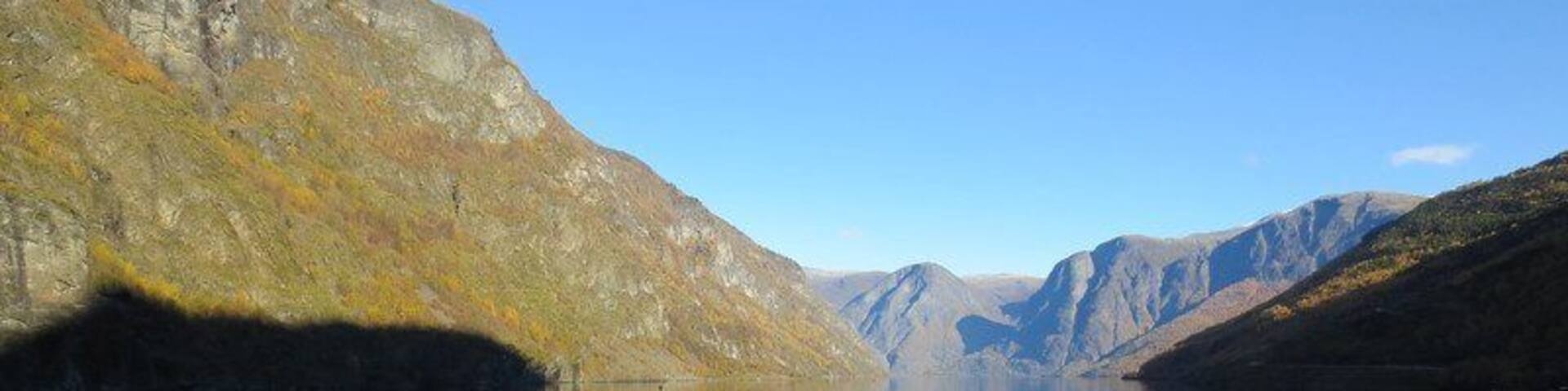 0_9d9f5671-0c0e-40fc-96e8-c1540655bd56_raw