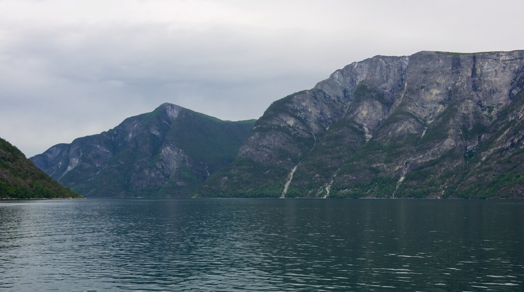 ネーロイフィヨルド どの含み 湖あるいは泉 と 山々