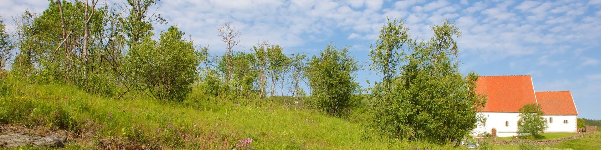 Trondenes Historical Centre showing flowers