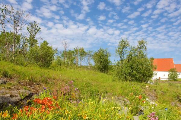 Trondenes historiska centrum presenterar blommor