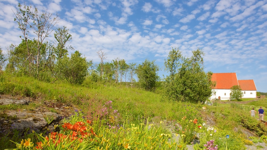 Trondenes Historical Centre toont bloemen